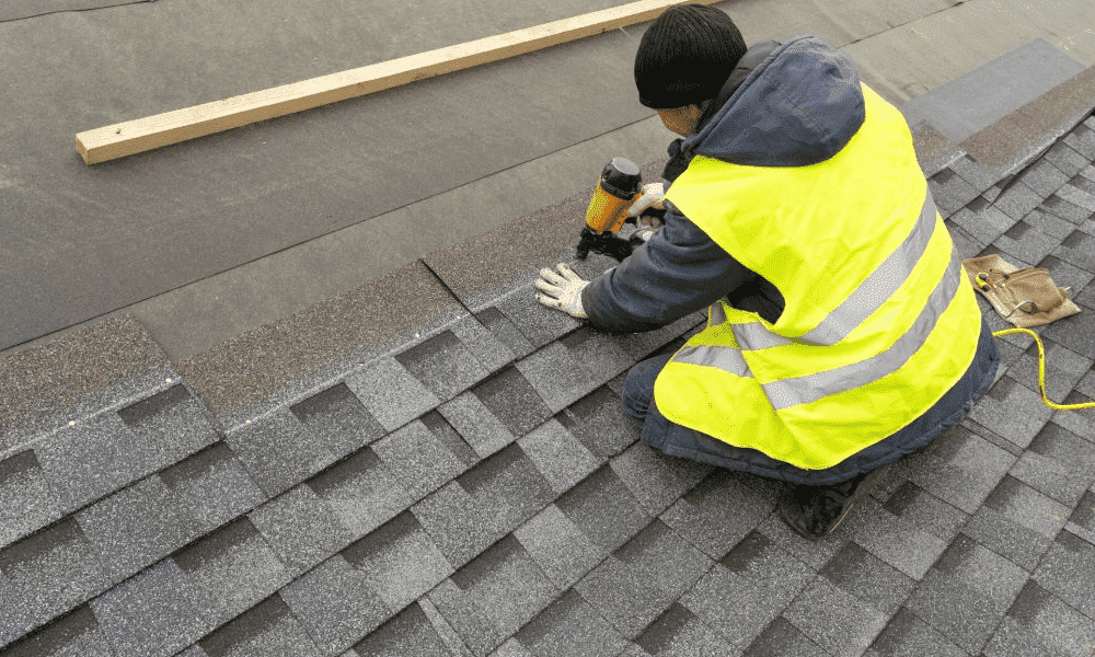 fixed optimized optimized optimized 1