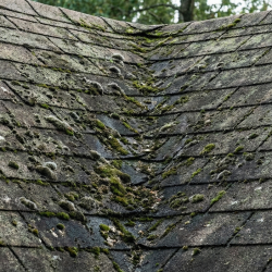 gemini generated image z025p5z025p5z025